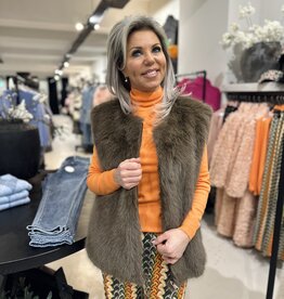 Bodywarmer bruinbeer  bruin