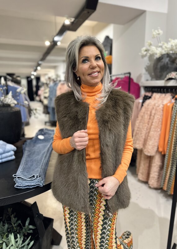 Carnavals Bodywarmer bruinbeer