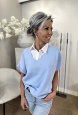 Top Anne Blauw