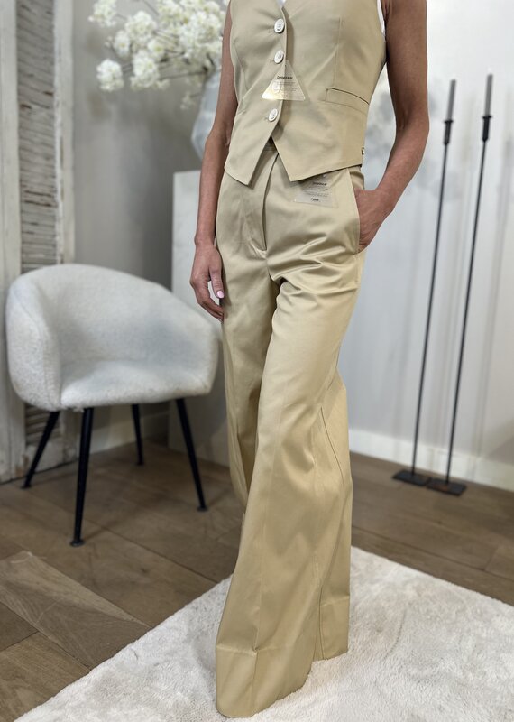 Josh V pantalon Regina