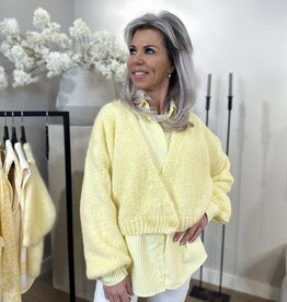 Vest Simone div kleuren