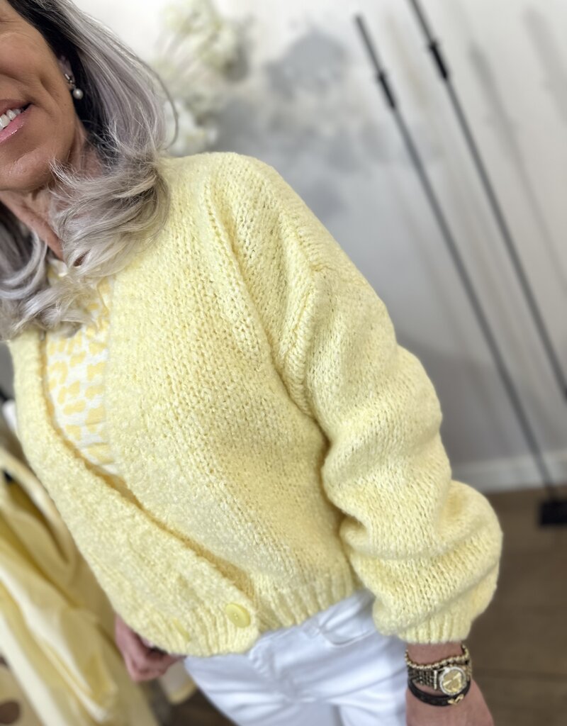 Cardigan Simone – various colours