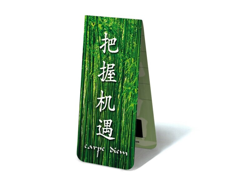 Magnetic Bookmark, Carpe Diem