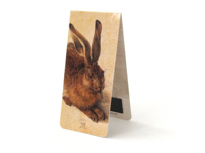 Magnetische Boekenlegger, Albrecht Durer, Haas