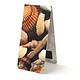Magnetic Bookmark, Shells
