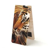 Marque-page magnétique, tigre