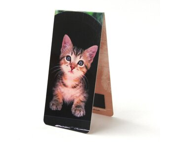 Magnetische Boekenlegger, Kitten, zwarte achtergrond
