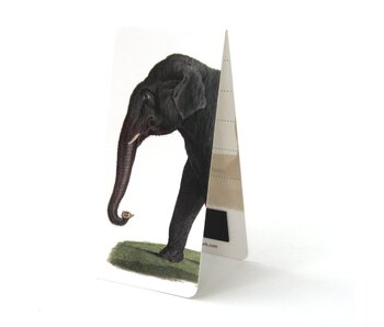 Magnetische Boekenlegger, Aziatische olifant