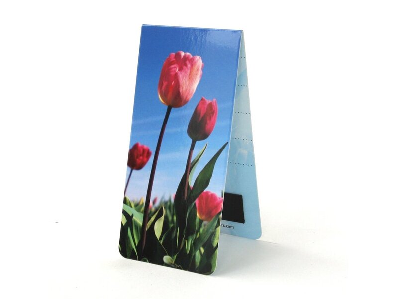 Magnetic Bookmark, Field of tulips Photo