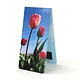 Magnetic Bookmark, Field of tulips Photo