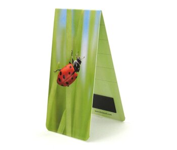 Magnetisches Lesezeichen, Marienkäfer