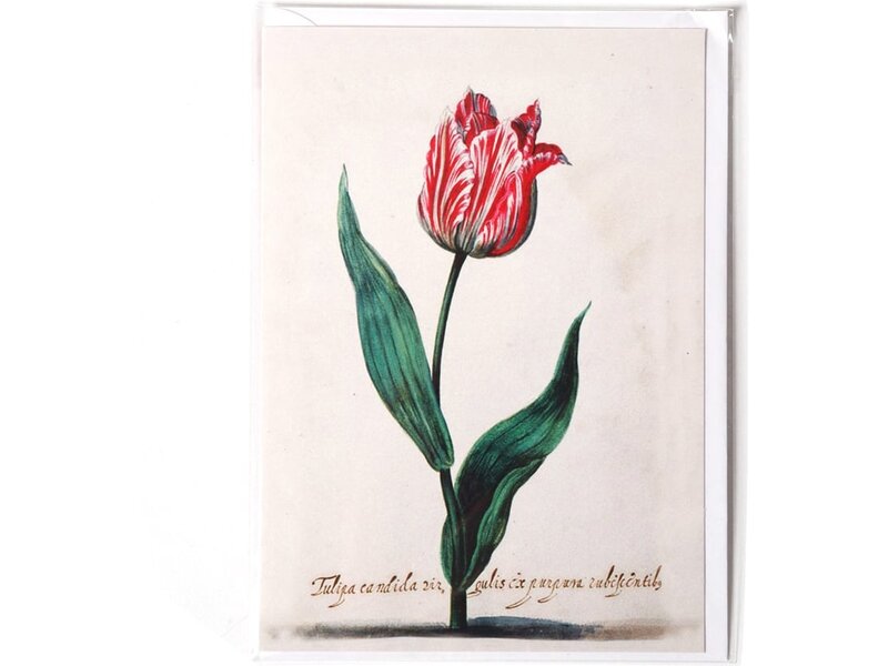 Double card, Tulpa Cenida, Van Swanenburch
