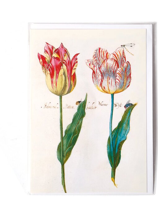 Doppelkarte, vier Tulpen mit Insekten, Marrel