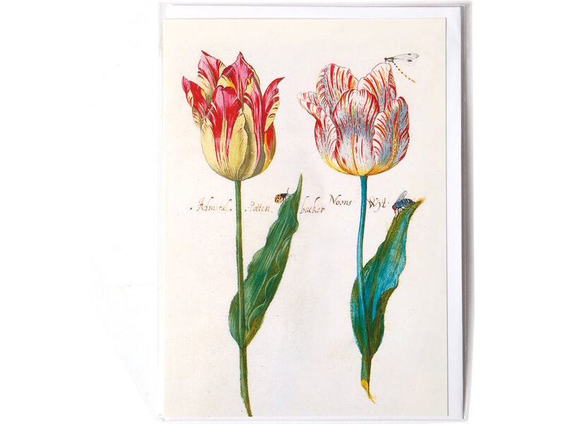 Dubbele kaart, Vier tulpen met insecten, Marrel