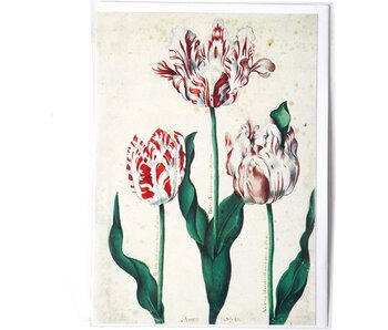 Doble tarjeta, Tres tulipanes, Artista desconocido
