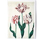 Card, Three Tulips, Artist Unknown