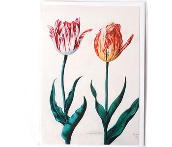 Doble tarjeta, Dos tulipanes, Van Swanenburch