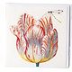 Doble tarjeta, blanco con tulipán rojo con insecto, Marrel