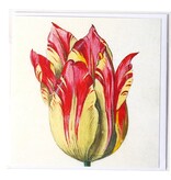 Doble tarjeta, amarillo con tulipán rojo, Marrel