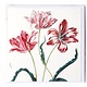 Doble tarjeta, Tres tulipanes, Merian, Colección Teylers