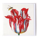 Dubbele kaart, Wit met rode tulp met insect (bij), Marrel