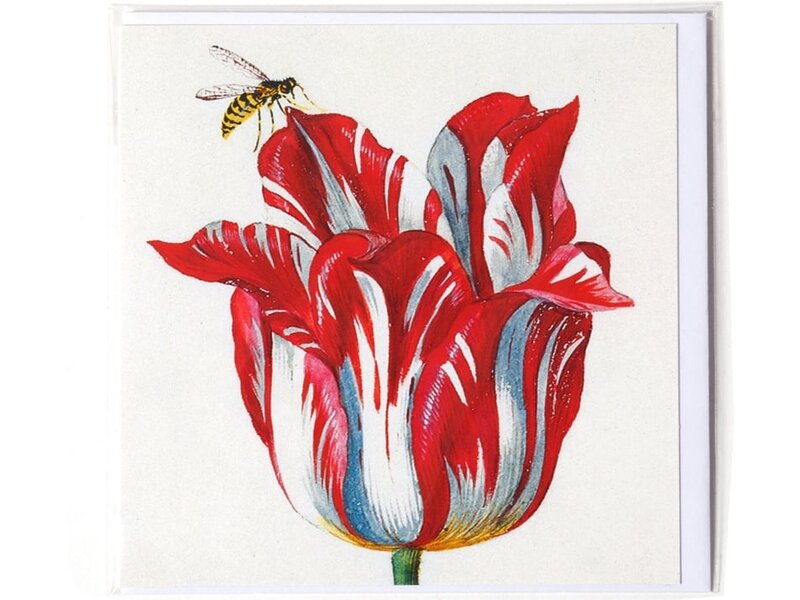 Dubbele kaart, Wit met rode tulp met insect (bij), Marrel
