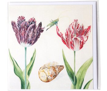 Dubbele kaart, Twee Tulpen met schelp en insect (krekel), Marrel