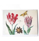 Dubbele kaart, Twee tulpen met schelp en vlinder, Marrel