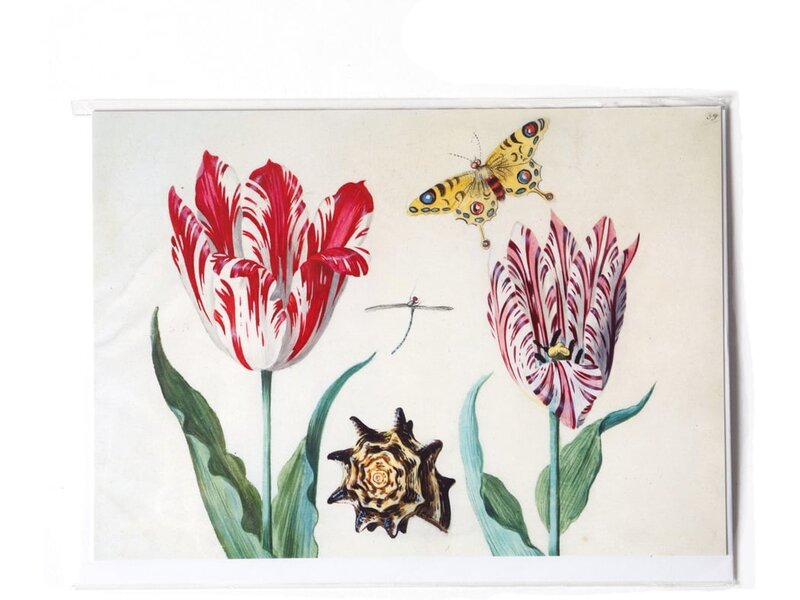 Dubbele kaart, Twee tulpen met schelp en vlinder, Marrel