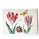 Doble tarjeta, Dos tulipanes con concha y mariposa, Marrel