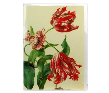 Doble tarjeta, tres tulipanes, Henstenburgh