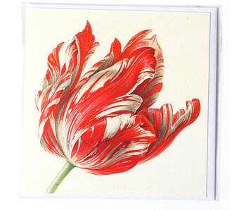 Doble tarjeta, Tres tulipanes (detalle), Henstenburgh