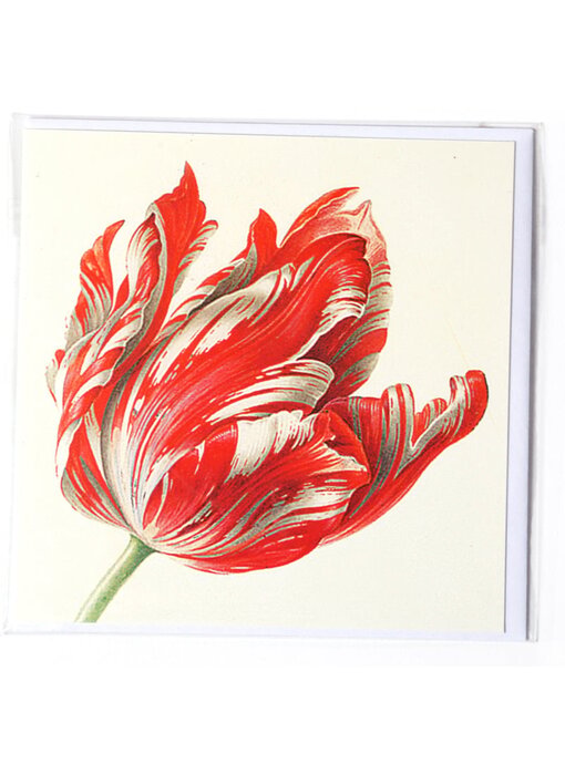Doble tarjeta, Tres tulipanes (detalle), Henstenburgh