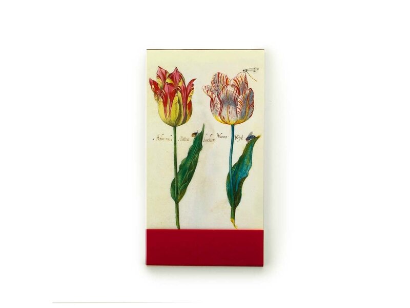 Gogonotes, Twee tulpen met insecten, Marrel