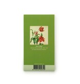 GoGoNotes, Tres tulipanes, Henstenburgh