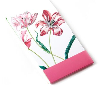 Notelet, Tres tulipanes, Merian, Colección Teylers