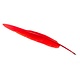 Stylo plume Rouge