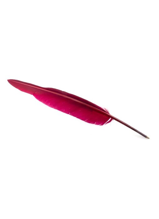 Schreibfeder, Aubergine