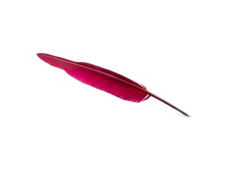 Stylo plume Aubergine