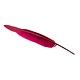 Schreibfeder, Aubergine