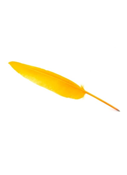 Schreibfeder, Hellorange / Gelb