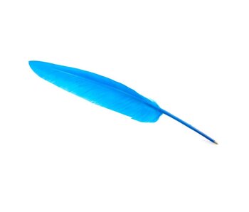 Stylo plume Turquoise