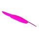 Pluma rosa
