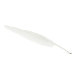 Pluma blanca Pluma blanca