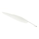 Pluma blanca