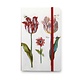 Softcover notitieboekje A6, Vier tulpen met insecten, Marrel