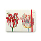Cuaderno de bocetos, cuatro tulipanes con insectos, Marrel
