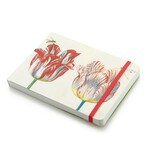 Carnet de croquis, Quatre tulipes aux insectes, Marrel