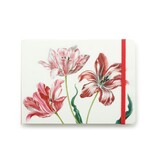 Skizzenbuch, Drei Tulpen, Merian
