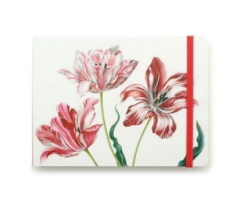 Carnet de croquis, Trois tulipes, Merian